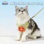 Flower Dog Harness And Leash Set